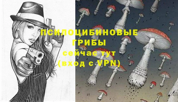бошки Арсеньев